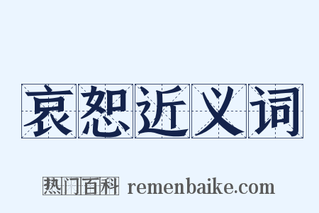 哀恕近义词是什么意思的图片